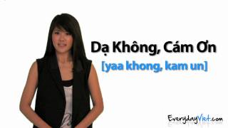 Learn Vietnamese Lesson 2 Yes No Maybe and No Thank You in Vietnamese [upl. by Daren300]