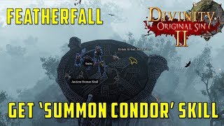 Featherfall Get Free Summon Condor Skill in Stonegarden Divinity Original Sin 2 [upl. by Evadnee]