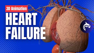 Heart Failure  3D Animation [upl. by Dodi]