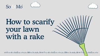 How to scarify your lawn with a wire rake  So amp Mo [upl. by Melbourne]