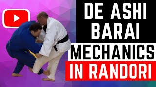 How to do De Ashi Barai in Randori Practical Tip [upl. by Ehcsrop307]