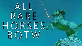 All Rare Horses amp Where to Find Them BOTW [upl. by Crin]