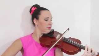 Stentor Conservatoire 1550  Violin Review [upl. by Eninahpets]