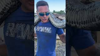 WE CAUGHT THE MONSTER SNAKE [upl. by Andrus]