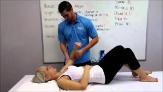 Manual Muscle Testing MMT For The Upper Extremity [upl. by Kciredohr]