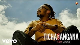 Seh Calaz  Tichasangana Official Video [upl. by Aivizt808]