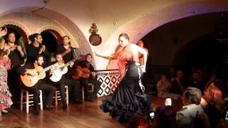 Flamenco Cordobés in Barcelona バルセロナ フラメンコ [upl. by Berkshire420]