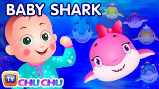 Baby Shark Song  Sing and Dance  Animal Songs for Children  ChuChu TV Nursery Rhymes amp Kids Songs [upl. by Appledorf]