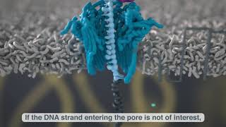 Adaptive sampling on nanopore technology [upl. by Stubbs878]