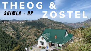 THEOG Hill Station in SHIMLA amp Zostel HomeStay  Theog  Review [upl. by Niboc107]