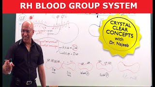 Rh Blood Group System  Dr Najeeb [upl. by Sihun]