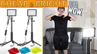 Neewer 2 Pack Dimmable 5600K USB Video Light  Best Budget Studio Light Unboxing amp Review [upl. by Yrruc]