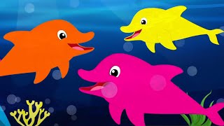 We Are The Dolphins Fun Nursery Rhyme for Children by Kids Tv Baby Shark [upl. by Tyree]