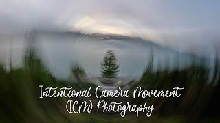 Intentional camera movement photography  Nikon 1424mm S [upl. by Betta]