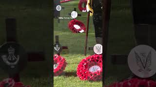 Fields of remembrance honour the fallen [upl. by Bolt]