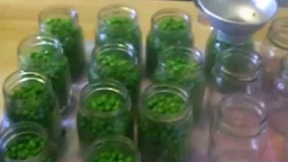 Canning Frozen Peas Yes you CAN can them [upl. by Ettevroc]