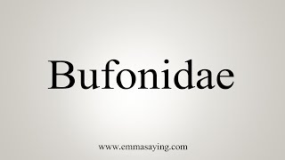 How To Say Bufonidae [upl. by Sivaj666]