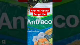 Antracol प्रीवेंटिव फफूंदीनाशक [upl. by Nolitta]