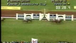 1995 Melbourne Cup [upl. by Micro88]