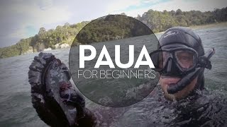 Paua Diving for Beginners [upl. by Nylhsa]