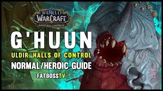 Ghuun Normal  Heroic Guide  FATBOSS [upl. by Aylat]