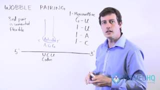 Wobble Pairing Study Tips [upl. by Harvison]