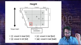 Introduction to Linguistics Phonetics 2 [upl. by Bergman411]