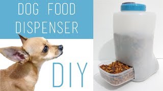 DIY Easy PuppyDogKittenCat Food Dispenser Using Plastic Containers [upl. by Carpenter]