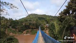 Kampung Pinangah Kinabatangan Sabah [upl. by Azeria]