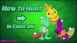 Shiny Hunting Tutorial  The BEST Way to Hunt Starters in Pokémon Emerald [upl. by Hnib]