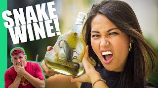 The Snake Wine Challenge in Vietnam [upl. by Arratal]