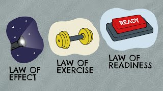 Stimulus Response Theory  Edward Thorndike Definition  Examples [upl. by Yerffe]