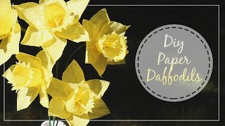 How To Make Crepe Paper Daffodils [upl. by Euginomod]