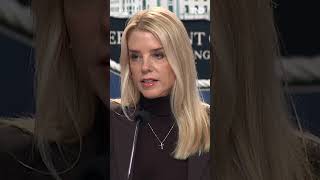 Pam Bondi sues New York state over immigration enforcement [upl. by Eiwoh]