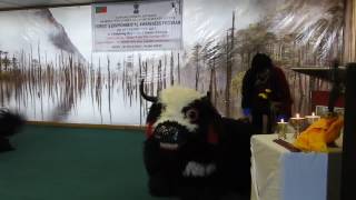 Yak Dance Tawang Forest [upl. by Attesoj300]