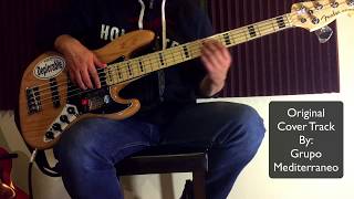 Te Llevare Al Cielo Mana Bass Cover [upl. by Mcnally]