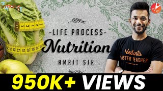 Nutrition Class 10  Life Processes Class 10 Science Biology  Mode of Nutrition NCERT Science Ch 6 [upl. by Arihsan982]