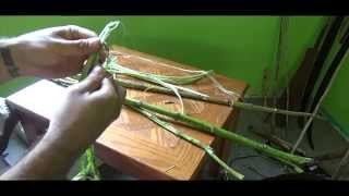 How to make cordage from Milkweed [upl. by Gurtner]