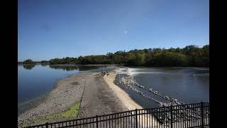 Carpentersville Dam Removal  1042024 [upl. by Enicul667]