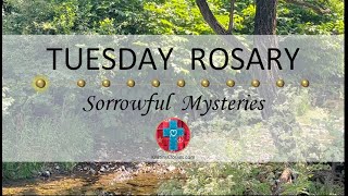 Tuesday Rosary • Sorrowful Mysteries of the Rosary 💜 September 5 2023 VIRTUAL ROSARY  MEDITATION [upl. by Heinrick]