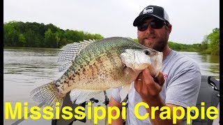 Mississippi Crappie Fishing [upl. by Nirtak141]