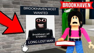 100 SECRETS in Roblox Brookhaven [upl. by Adley331]