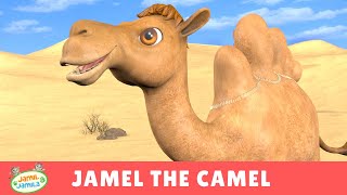 Jamel the Camel  Jamil and Jamila Songs for Kids [upl. by Jermayne]