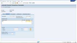 F110  Automatic Payment run in SAP [upl. by Elgar331]