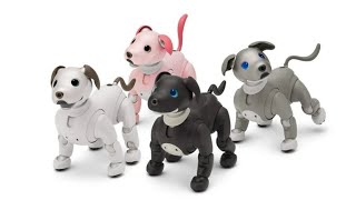 Sony aibo Espresso AI robot dog launched in the US comes with 3 year cloud plan [upl. by Nofets571]