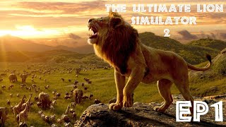 Can I Be A LION  Ultimate Lion Simulator 2  Ep1 [upl. by Sergu]