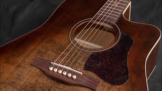 Acoustic Blues 2 A two hour long compilation YouTube [upl. by Isahella103]