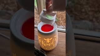 How to use the Scentsy Warmer amp Wax fragrance system 💕 [upl. by Nyllij]