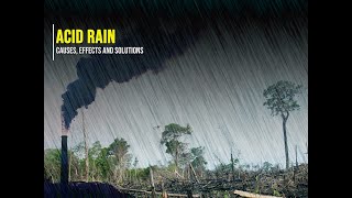 What is Acid Rain causes effects and control measures of acid rain by environmental science [upl. by Millard337]