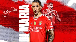 APRESENTAÇÃO DI MARÍA [upl. by Amii]